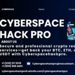 Profile picture of CYBER SPACE HACK PRO: Your Path to Financial Freedom