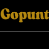 Profile picture of gopunt
