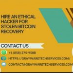 Profile picture of Gilbert